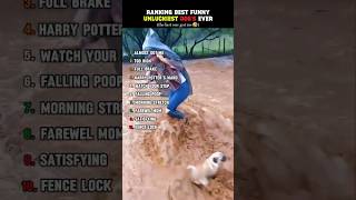 Classement des chiens malchanceux 🤣🤣🤣🤣