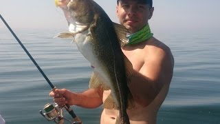 Ловля трески с берега балтийского моря