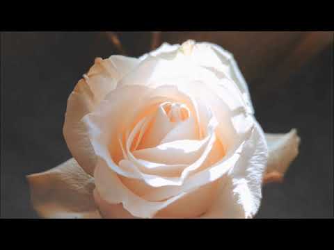 Dọn bàn thờ cúng mẹ - Hồ Quốc Việt