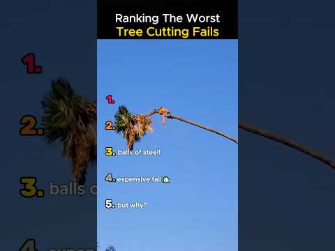 Ranking The Worst Tree Cutting Fails 🌳😱
