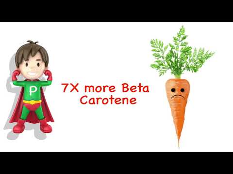 Purslane, the super food!