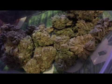 LIT ASS FRIDAY VLOG!!! FAT JOINT SESH🔥😈