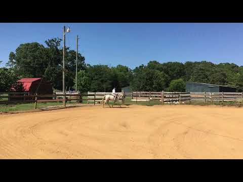 Class 3 W/T Groundpoles Cheyenne Robinson & Wonderley Pomp