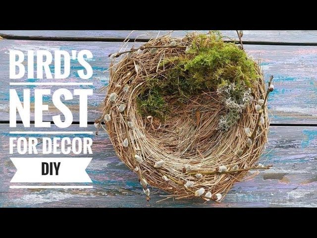 How do birds build nests in trees?