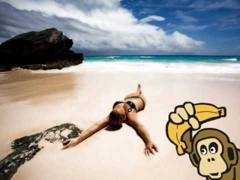 Nicolas M. Wild- Represents Congo.wmv