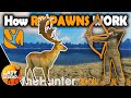 HOW RESPAWNS WORK In Call Of The Wild 2024