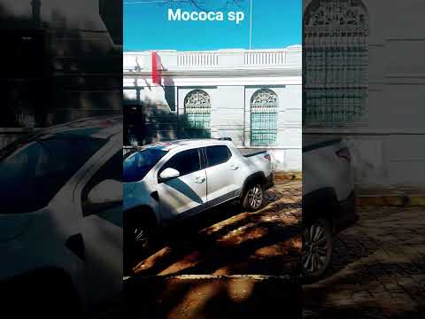 Mococa sp