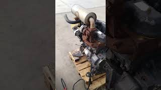 Kubota complet engine for mini excavator | Image 4 - Machineryline