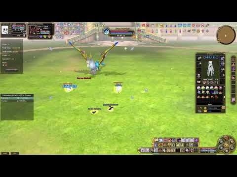 Insanity Flyff -  TrickYoYo [Harlequin] Runs