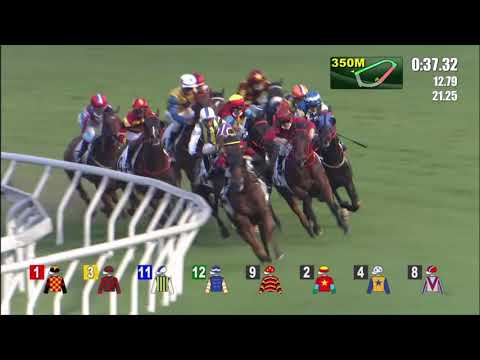 2/6/2021 (719) Valiant Elegance - Jerry Chau