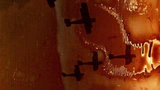 The Desire of the Moth