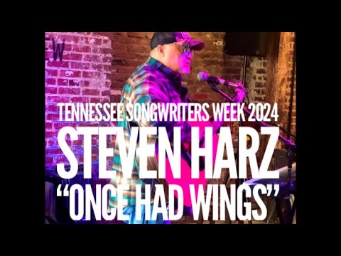 Promotional video thumbnail 1 for Steven Harz/Americana Soul