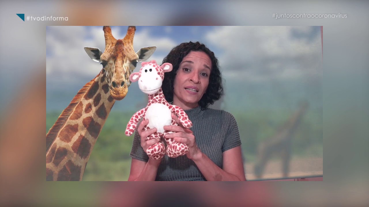 COMUNICAÇÃO NÃO VIOLENTA: 5 Coisas que todo mundo precisa saber