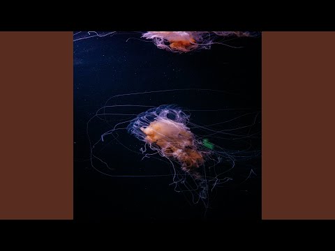 Saving All My Love For You (Live)