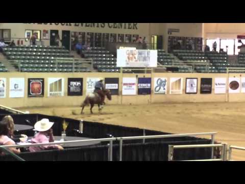 2015 SBF Halslife reined work