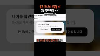 성인 모드 탑재한 일론 머스크의 AI