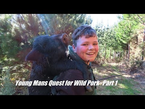 Young Mans Quest For Wild Pork   Part 1~Clay Tall Stories