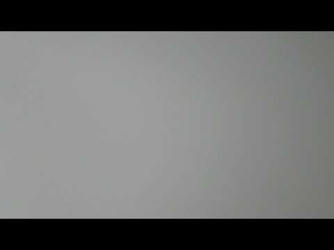 Hachnosas Sefer Torah - Weisberg