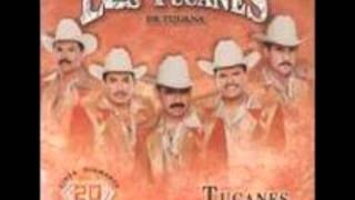 los tucanes de tijuana el tigre de tijuana.wmv
