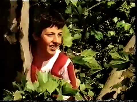 Athletic de Bilbao   La gabarra de campeóna 1983 84