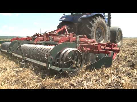 Activitati intense la Ferma Ing  Nicu Burcus de la Hermeziu - Iasi