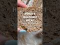 World’s Healthiest Bread (Only 2 Ingredients!) #healthy #baking #bread #recipe