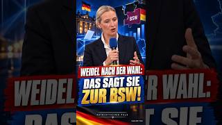 Weidel-Das sagt sie zur BSW! #afd #Reden #weidel #bsw