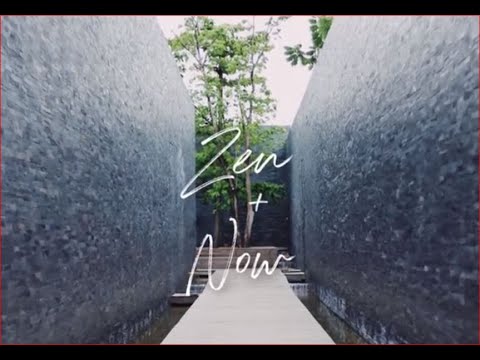 Zen + Now - Phillip Jeffries Fall 2019 Collection!