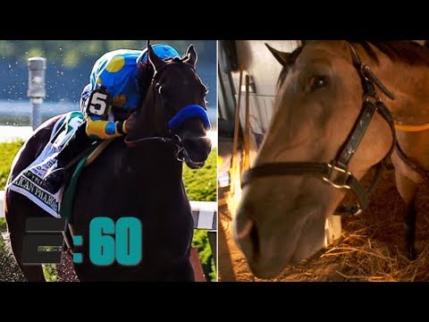 Meet American Pharoah's best friend Smokey | E:60