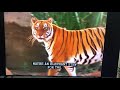 Netflix The Jungle Book Mowgli Story