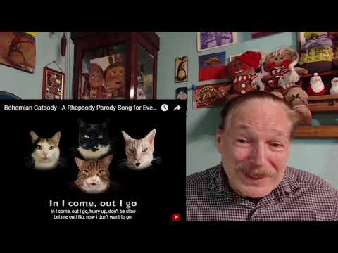Bohemian Catsody - A Rhapsody Parody Song  (Shirley Șerban)  2021. A Layman's Reaction.