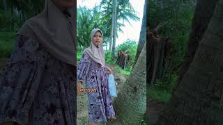 Download lagu Pohon kelapanya sampe bengkok mp3 Download lagu Pohon kelapanya sampe bengkok mp3