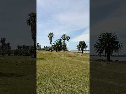 Increíble paisaje nos regala Punta Carretas en Montevideo Uruguay 🇺🇾 #uruguay