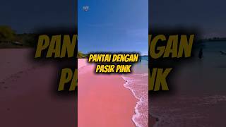 Download lagu Pink Beach Komodo: Pantai Berpasir Merah Muda yang Mendunia mp3