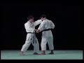 Heian Godan Bunkai Shito Ryu