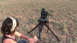 Texas Wild: What a few weeks; dust storms, camel spiders, snakes, and sunflower seeds