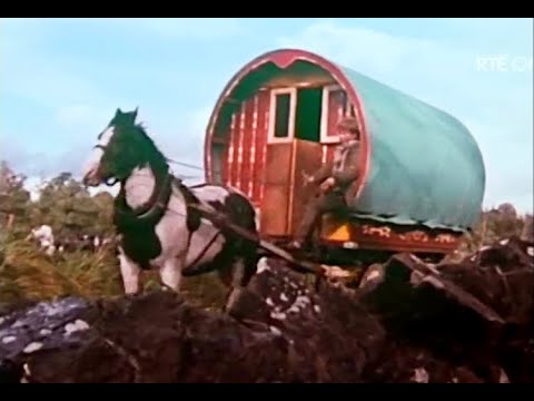 Scope: The Four Roads