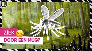 HET RAADSEL VAN MALARIA  | TOPDOKS IN DE LUCHT