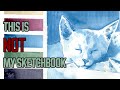 Painting In Another Artists Sketchbook Stress Free Sketchbook Exchange Project Part 4