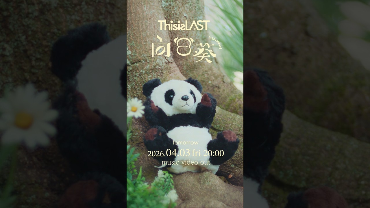 #向日葵 #ThisisLAST - 2026.04.03 20:00 Music Video OUT!!