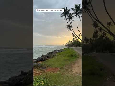 Madiha Beach 🇱🇰 🛩🛥⛱🌴🐋🐘🐆🏄