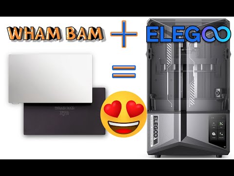 Wham Bam Review
