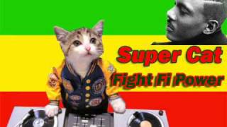 Super Cat- Fight fi Power