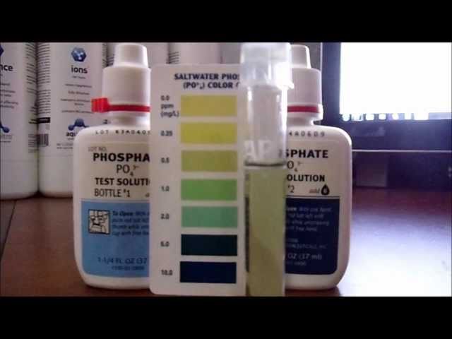 How to Test Phosphates Episode  in a Saltwater Reef Tank 16 pt 3