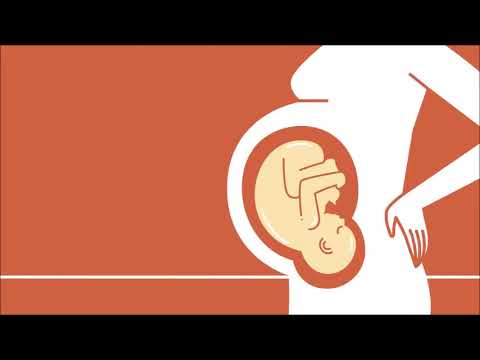 Kolik Bebekler için Gerçek Anne Karnındaki Ses Kesintisiz Reklamsız