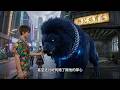 🌟【新番上线|ENG SUB】《神级培育系统：我的店里全是九阶神兽》废柴开局逆袭，土狗半小时变六阶雷霆霸王犬！ 一口气看完 #漫剧 #热血 #玄幻 #战斗 #苍穹动漫