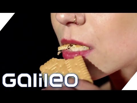 125-year-old biscuit - What's behind the Leibniz biscuit | Galileo | ProSieben