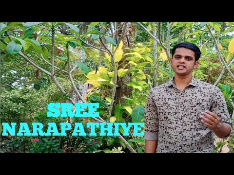 Sreenarapathiye - (Music Video) | Ft.Joshua Manoj | Mahakavi K.V.Simon Sir