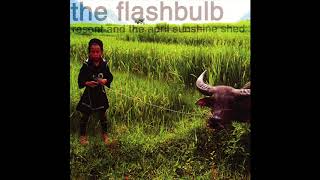Resent and the April Sunshine Shed - The Flashbulb (Full Album with Bonus Tracks)