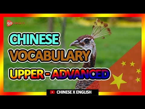 Learn Chinese |Part 16: Chinese Vocabulary Upper-advanced | Golearn